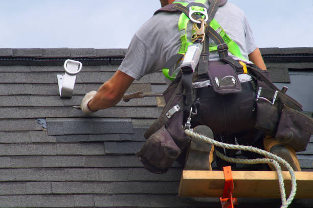 Best Roof Gutter Cleaning  in Pleasantville, IA